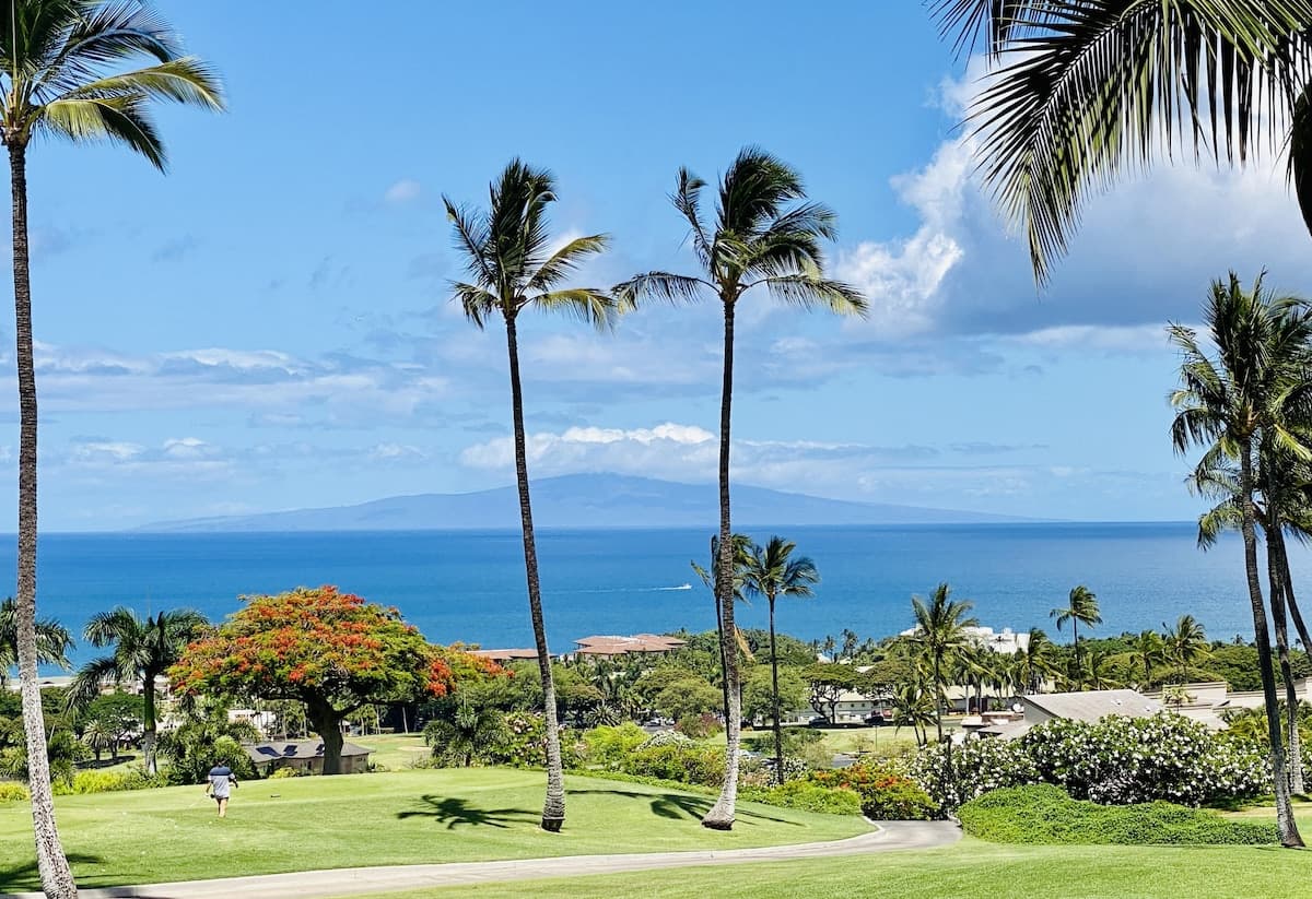 Condo in Wailea · ★5.0 · 2 bedrooms · 3 beds · 2 baths - Photo 1