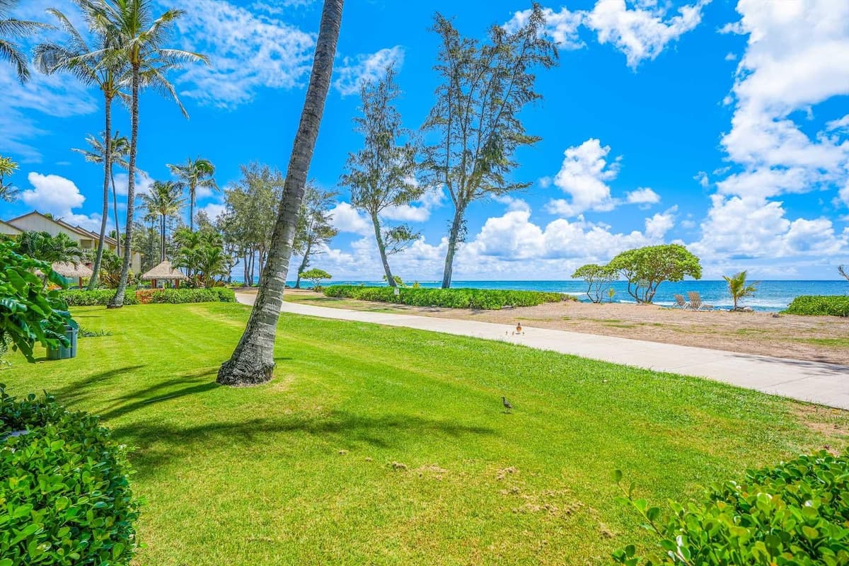 Islander on the Beach 152 Direct Oceanfront Studio - Photo 4