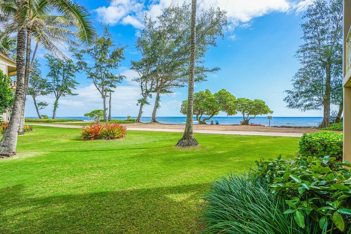 Islander On The Beach 163 Oceanfront Studio - Photo 4