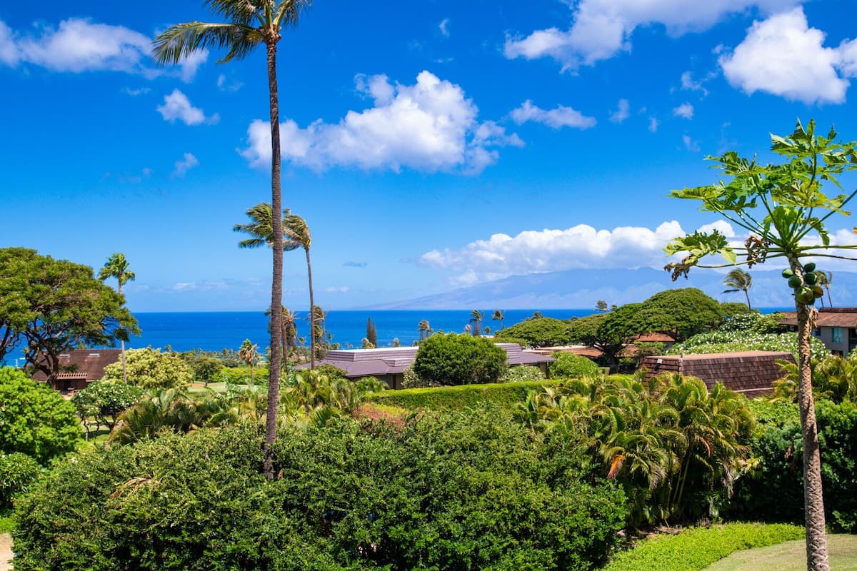 Condo in Lahaina · ★4.82 · 2 bedrooms · 2 beds · 2 baths - Photo 5
