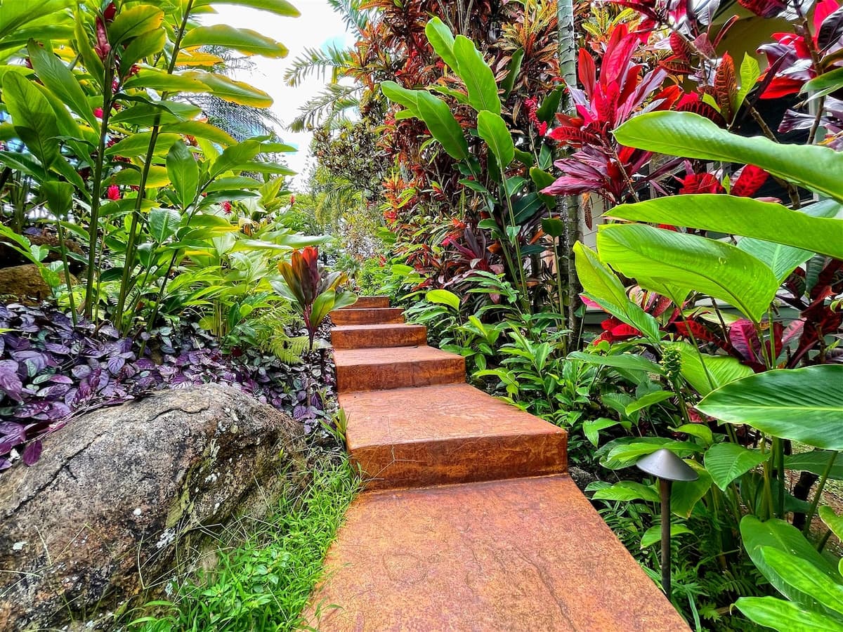 HALE KEPUA Secluded Gem & Stunning Jungle Views - Photo 1