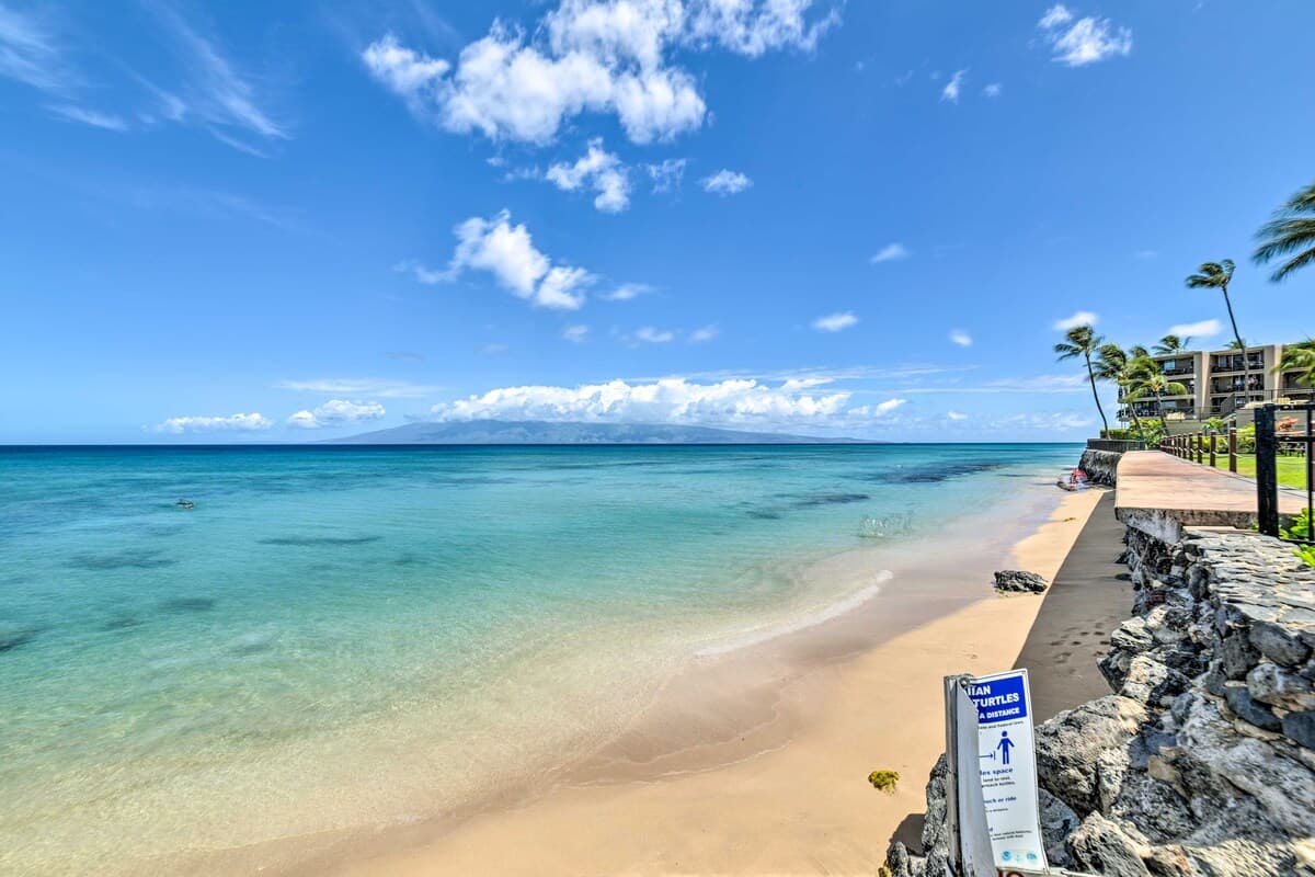 Condo in Lahaina · ★4.81 · 1 bedroom · 2 beds · 1 private bath - Photo 3