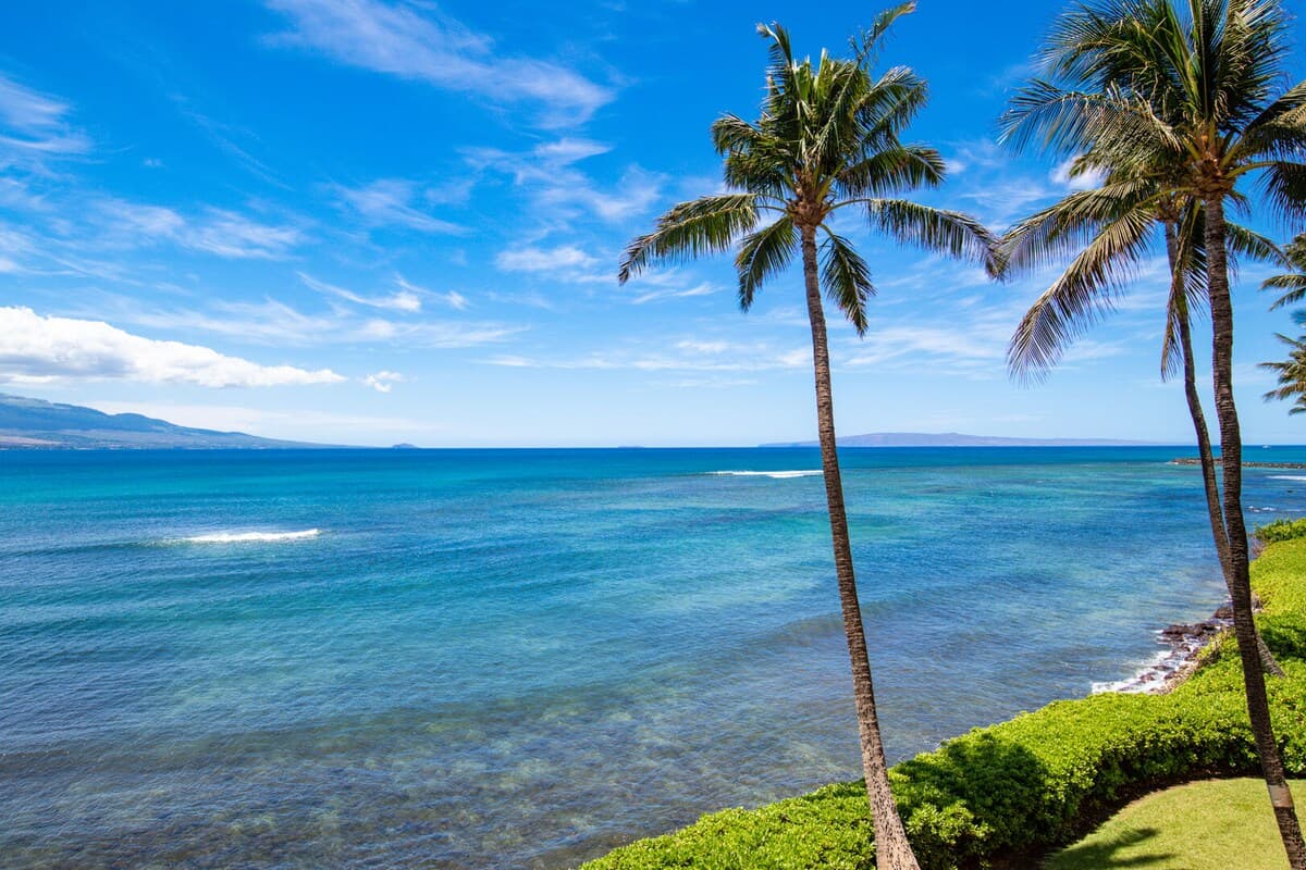 Condo in Wailuku · ★4.65 · 2 bedrooms · 3 beds · 2 baths - Photo 4
