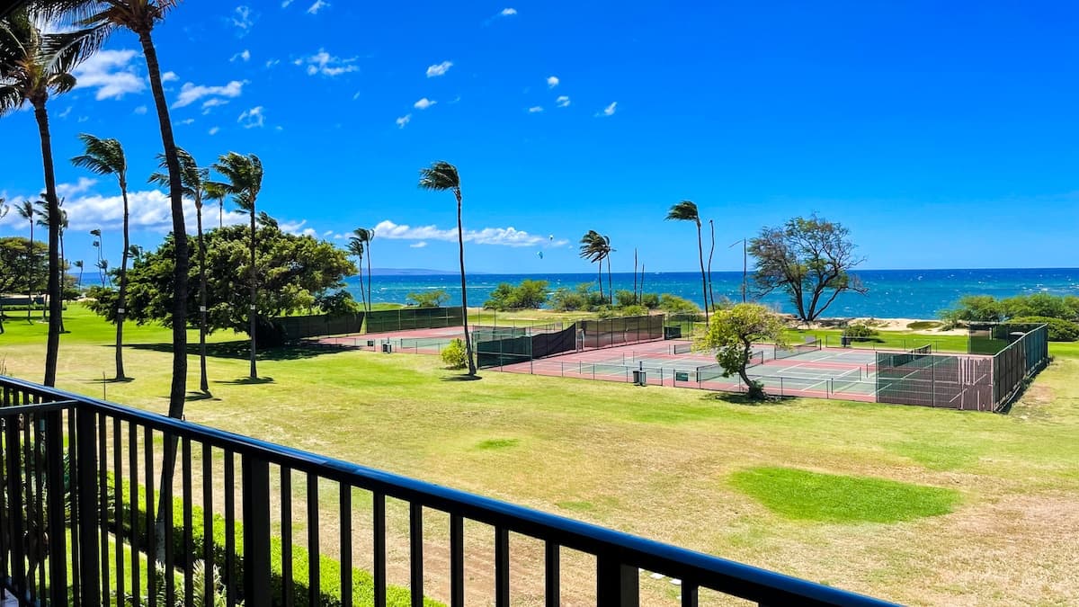 Two BD,Ocean, Great view, AC,pool, hot tub D308 - Photo 3