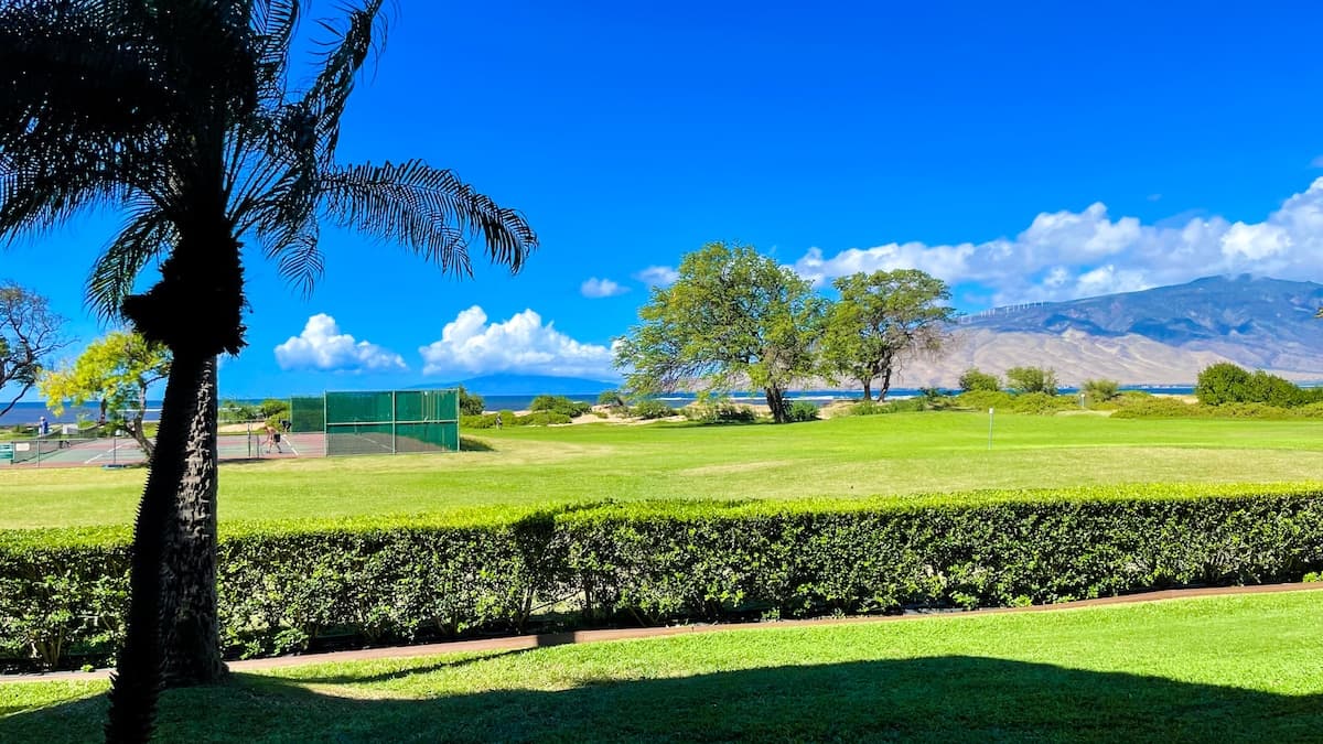 Gorgeous,2 bd, Ocean, AC,wifi,pool, hot tub D104 - Photo 1