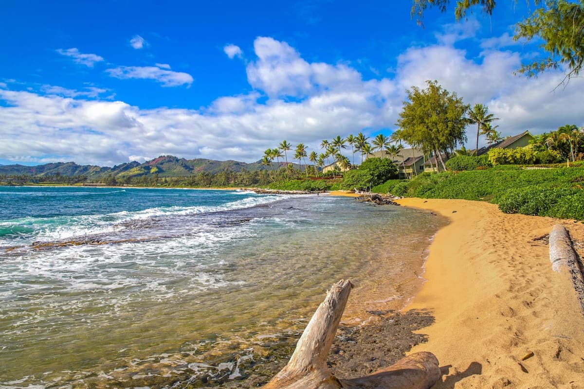 Condo in Kapaa · ★4.78 · 1 bedroom · 1 bed · 1 bath - Photo 2