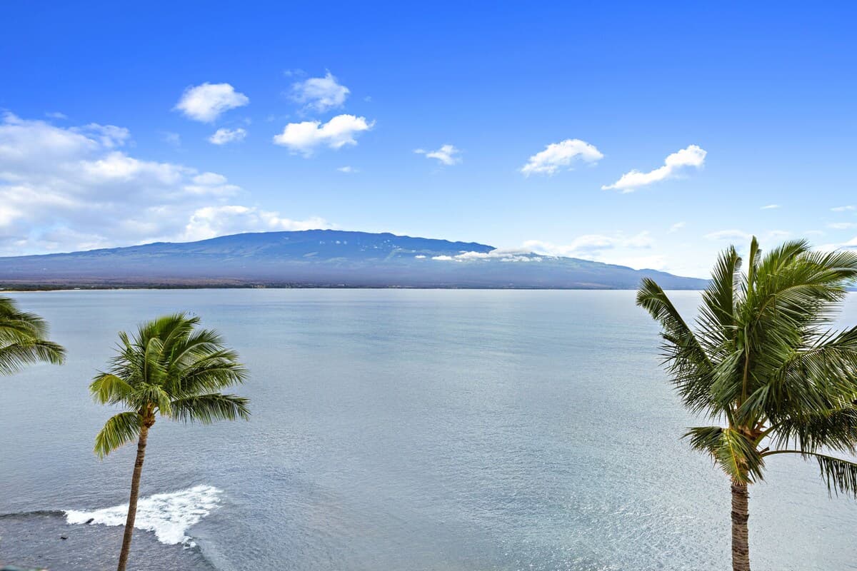 Condo in Wailuku · ★4.73 · 1 bedroom · 2 beds · 1 bath - Photo 4
