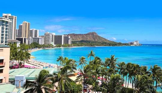 Condo in Honolulu · ★4.61 · 1 bedroom · 2 beds · 1 private bath - Photo 1