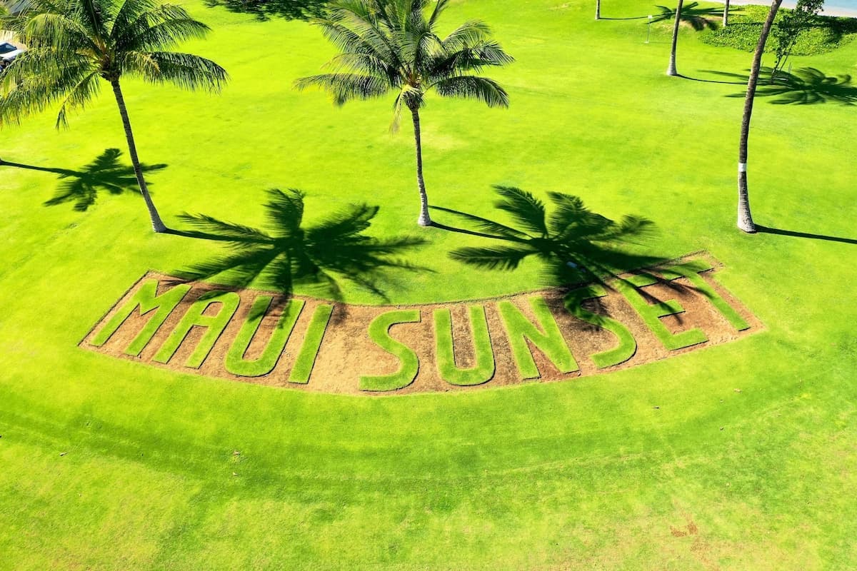 Condo in Kihei · ★5.0 · 2 bedrooms · 5 beds · 2 private baths - Photo 5
