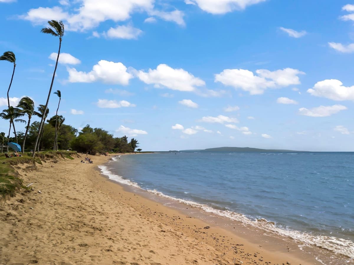 Condo in Kihei · ★5.0 · 2 bedrooms · 5 beds · 2 private baths - Photo 4