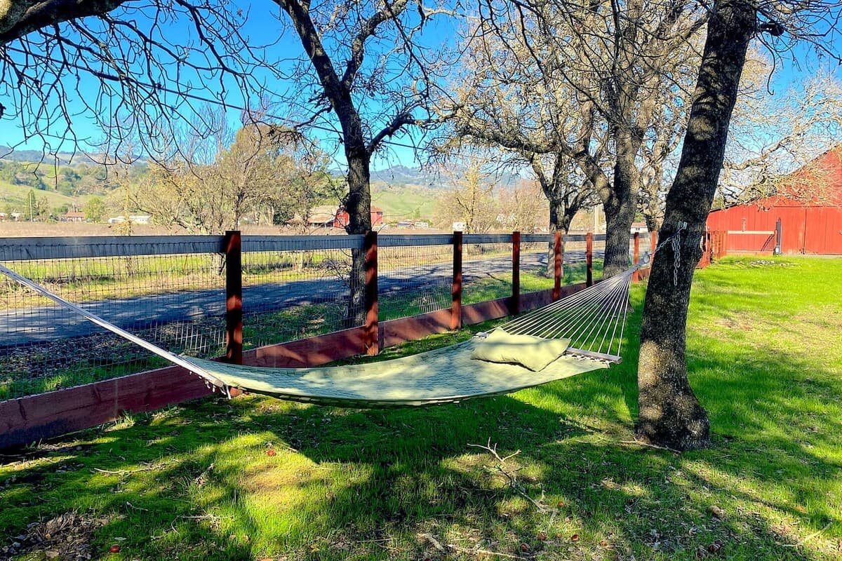 Renovated Vineyard View Home Near Sonoma Square - Photo 2