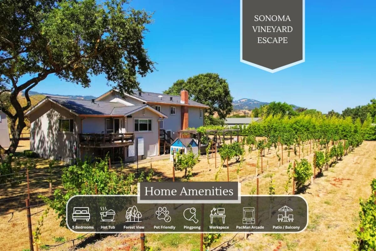 Renovated Vineyard View Home Near Sonoma Square - Photo 1