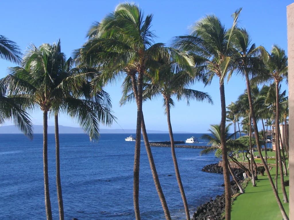 Condo in Wailuku · ★4.57 · 3 bedrooms · 5 beds · 2 baths - Photo 3