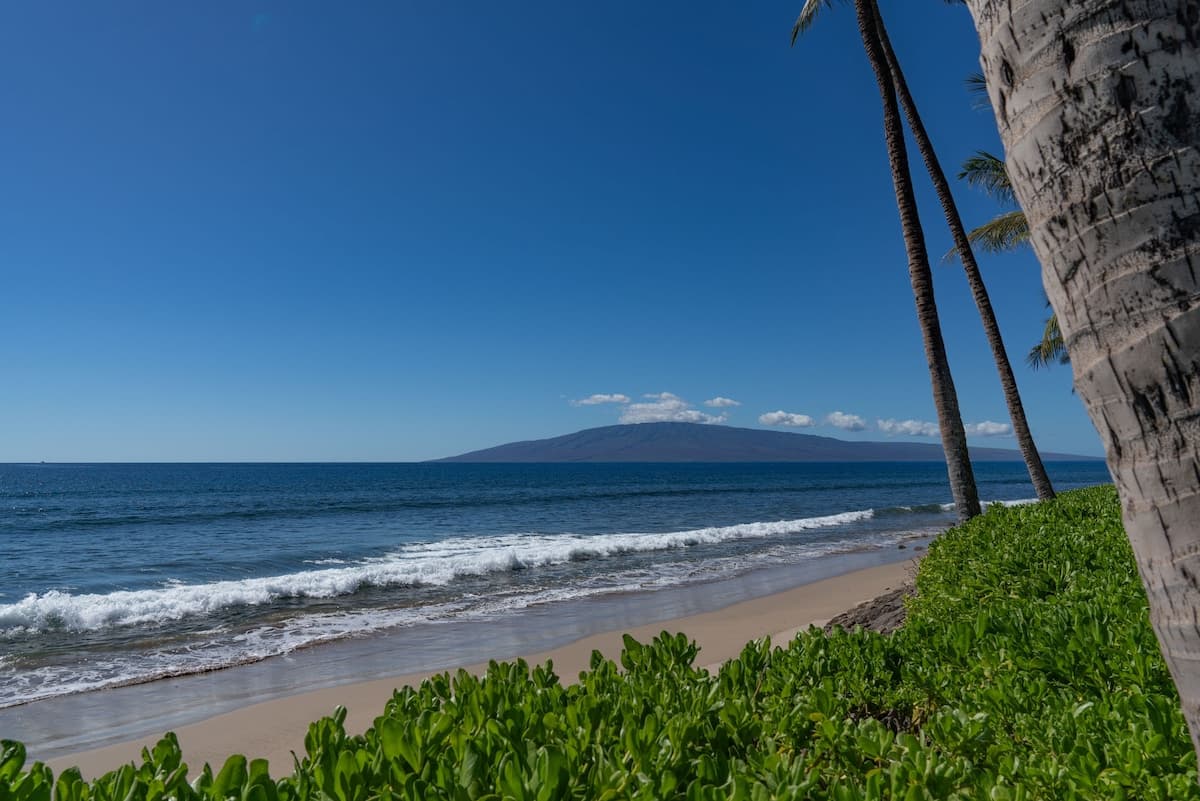Townhouse in Lahaina · ★4.89 · 4 bedrooms · 5 beds · 4 baths - Photo 4