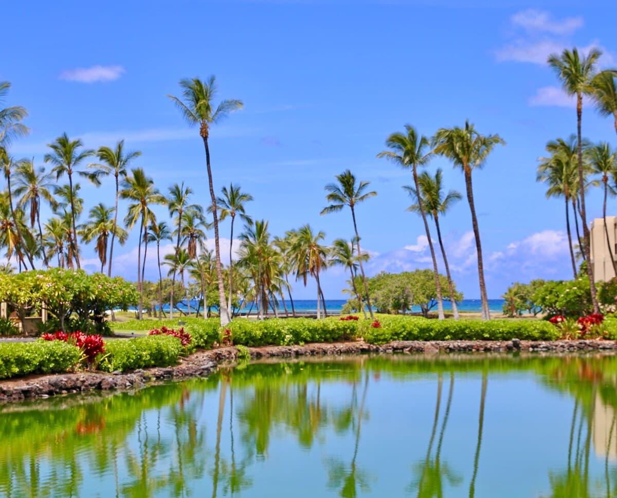 Condo in Waimea · ★5.0 · 2 bedrooms · 3 beds · 2.5 baths - Photo 4