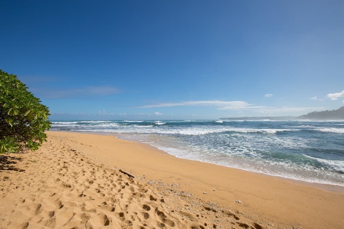 Condo in Hanalei · ★4.88 · 2 bedrooms · 2 beds · 1.5 baths - Photo 5