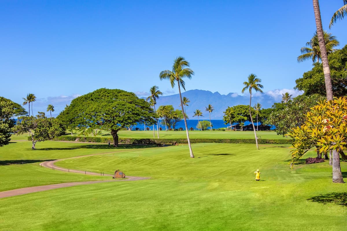 Condo in Lahaina · ★4.88 · 2 bedrooms · 3 beds · 2 baths - Photo 3