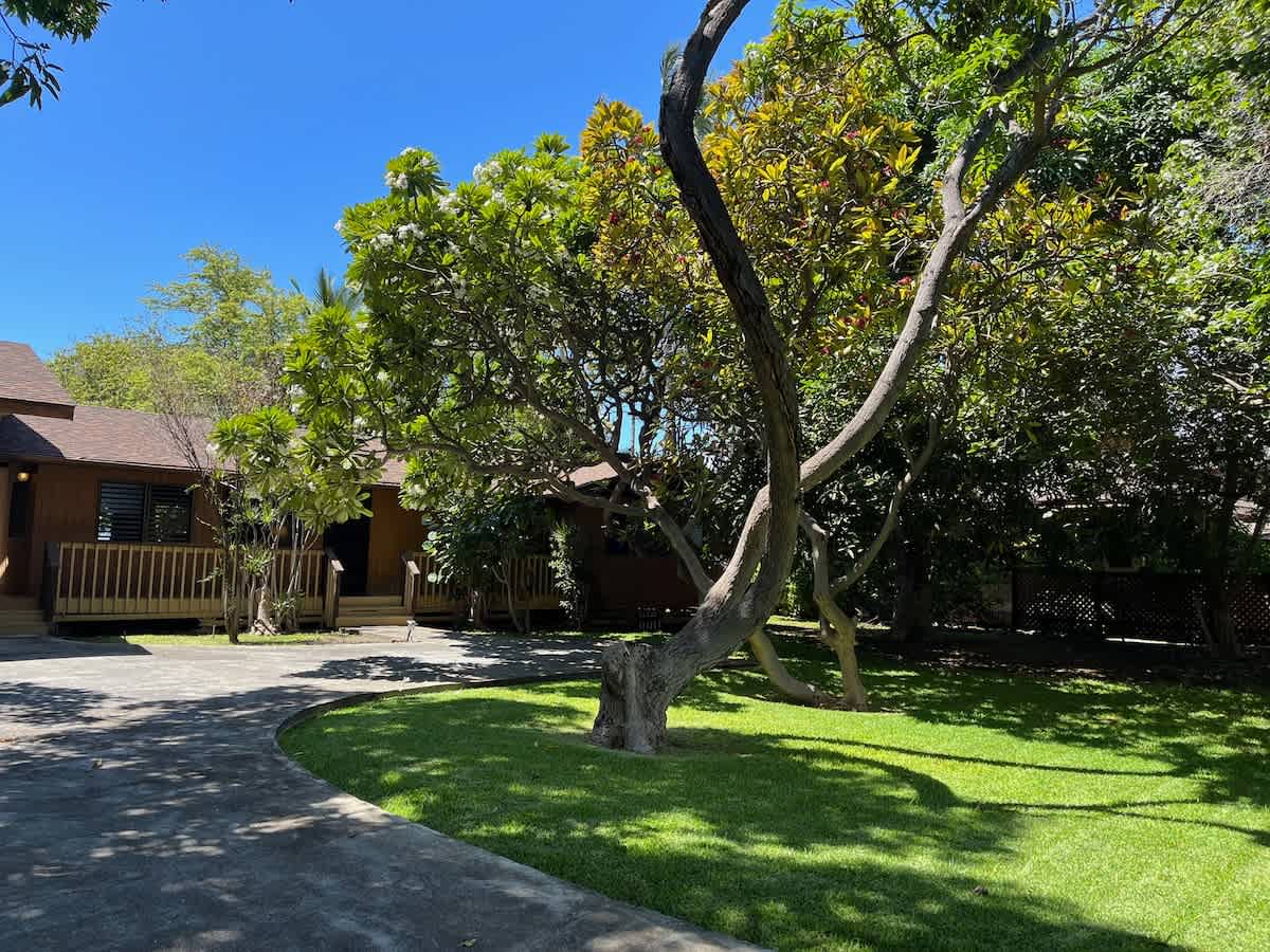 Home in Waimea · ★4.62 · 2 bedrooms · 4 beds · 2 baths - Photo 4