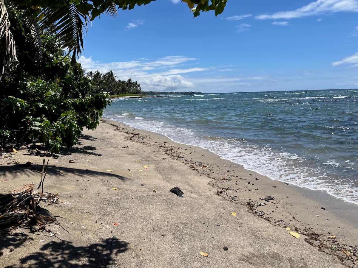 Home in Waimea · ★4.62 · 2 bedrooms · 4 beds · 2 baths - Photo 3