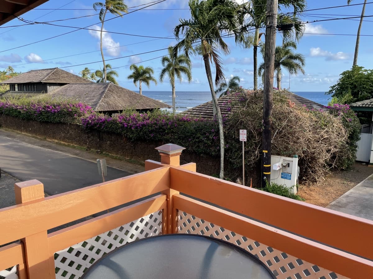 Baby Beach Guest House -SurfSong Unit #4 Flamingo - Photo 4