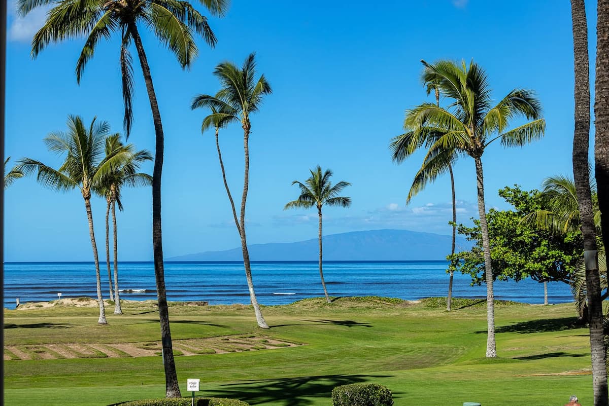 Condo in Kihei · ★4.89 · 2 bedrooms · 4 beds · 2 shared baths - Photo 4