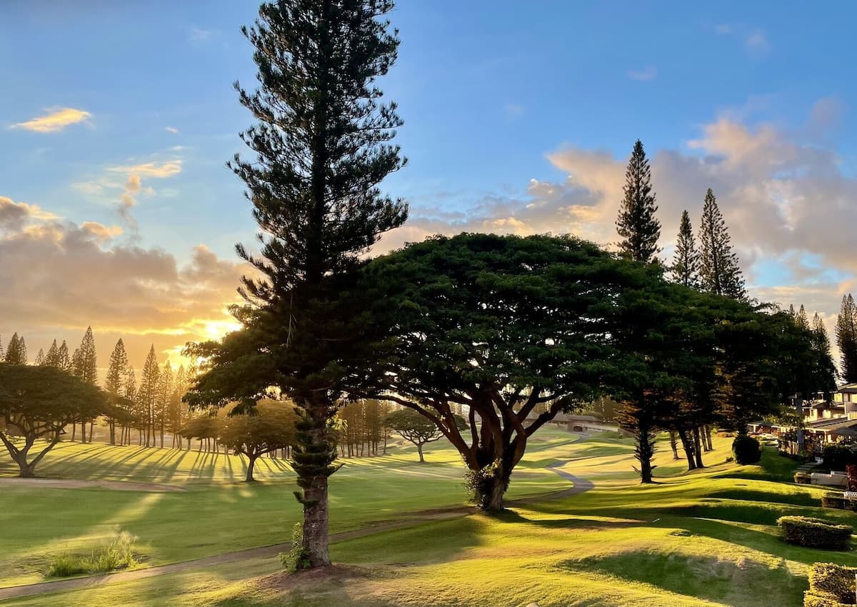 Condo in Lahaina · ★4.8 · 1 bedroom · 3 beds · 2 baths - Photo 1