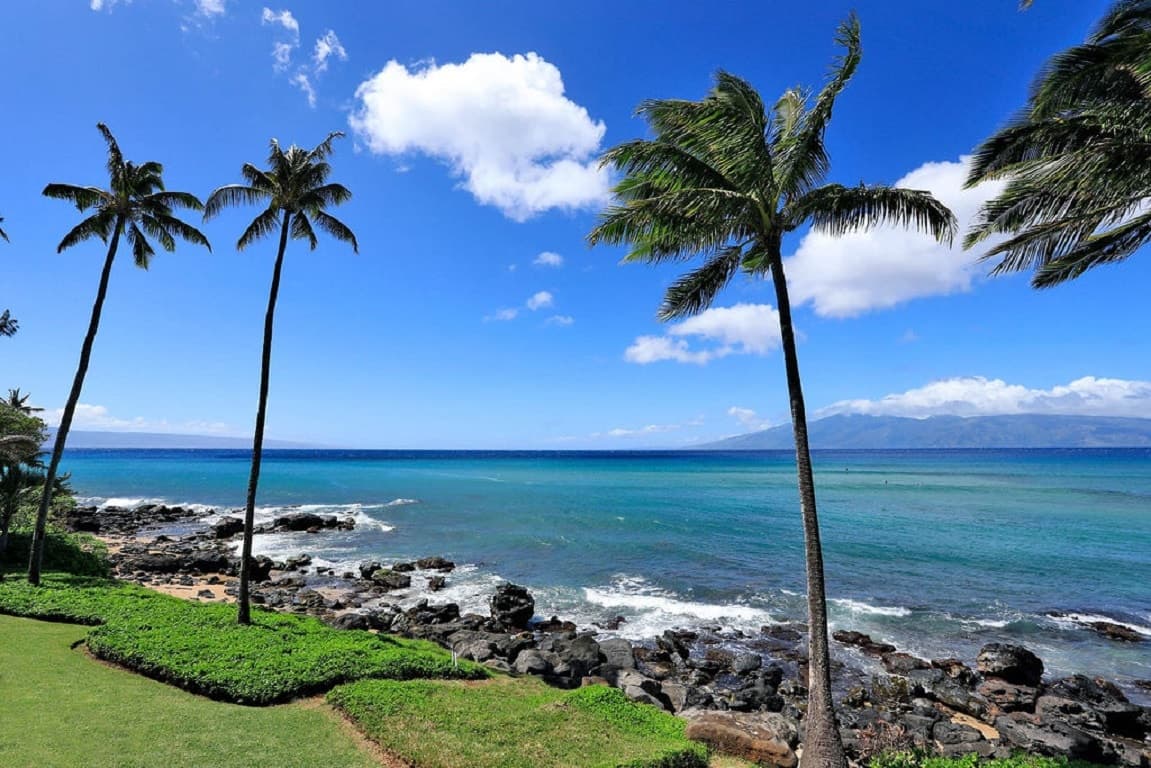 Condo in Lahaina · ★4.84 · 1 bedroom · 2 beds · 1 private bath - Photo 2