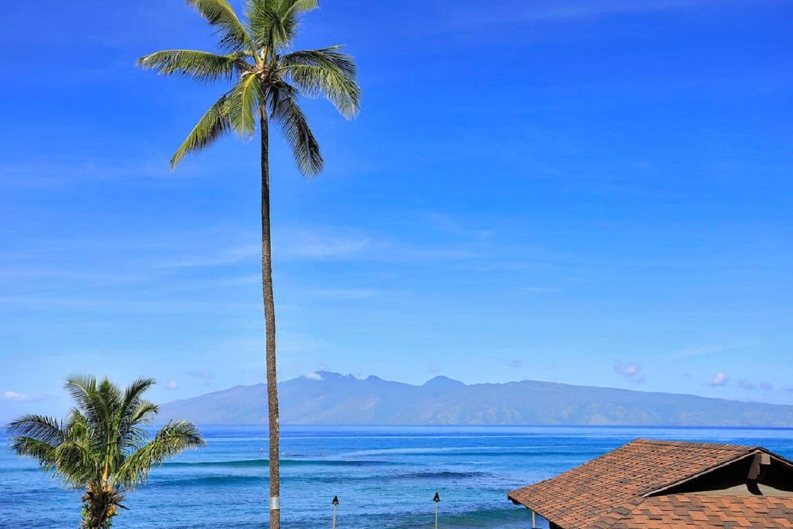 Condo in Lahaina · ★4.8 · 1 bedroom · 1 bed · 1 private bath - Photo 5