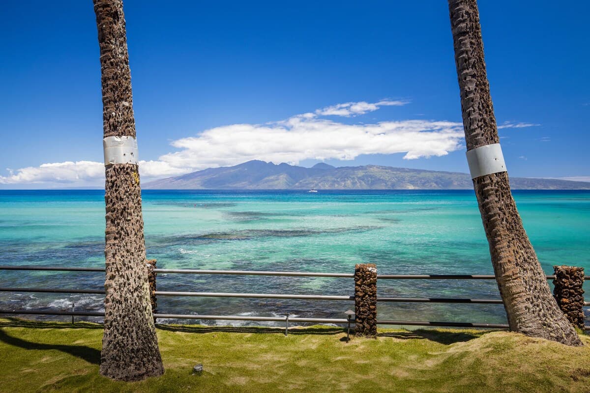 Condo in Lahaina · ★4.89 · 1 bedroom · 2 beds · 1 private bath - Photo 4