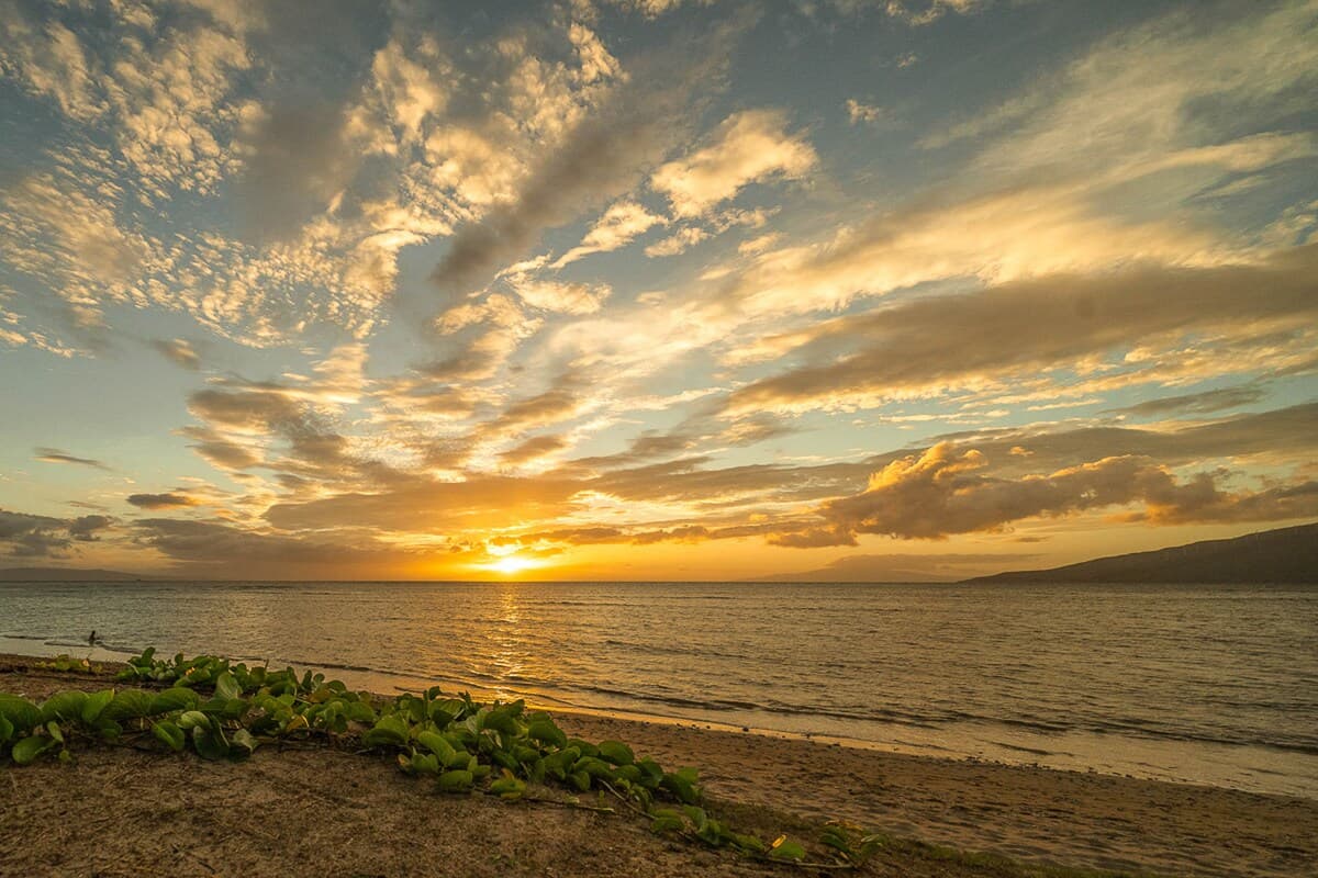 Condo in Kihei · ★4.75 · 1 bedroom · 3 beds · 2 shared baths - Photo 2