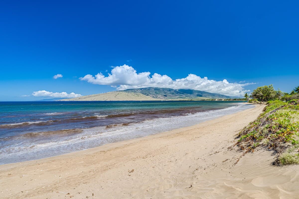 Condo in Kihei · ★4.8 · 2 bedrooms · 3 beds · 1 shared bath - Photo 5
