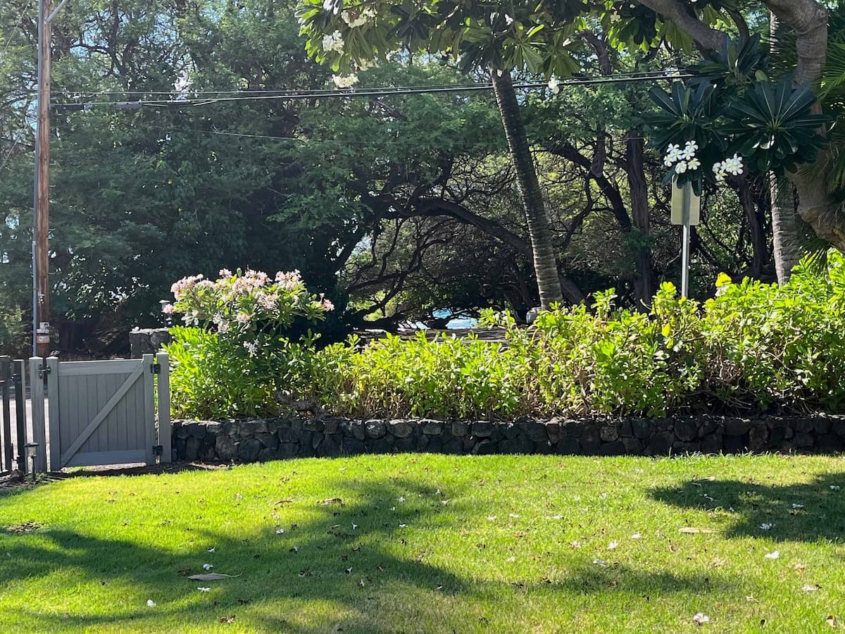 Home in Waimea · ★5.0 · 3 bedrooms · 3 beds · 3 baths - Photo 4