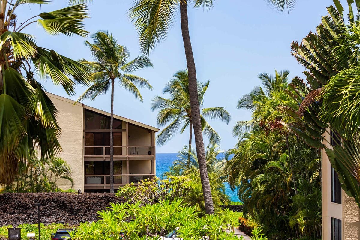 Plan Your Hawaii Vacay at Grace's Oasis - Photo 4