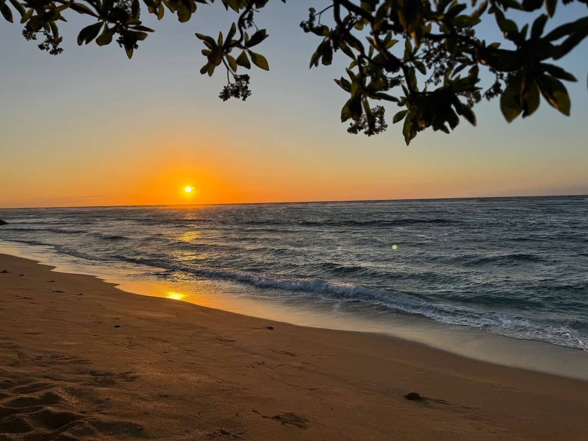 Condo in Kapaa · ★4.97 · 2 bedrooms · 2 beds · 3 baths - Photo 5