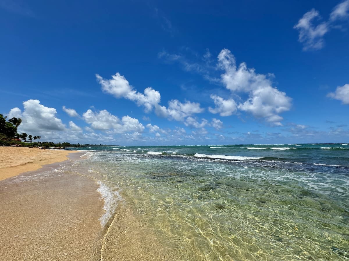 Condo in Kapaa · ★4.97 · 2 bedrooms · 2 beds · 3 baths - Photo 3