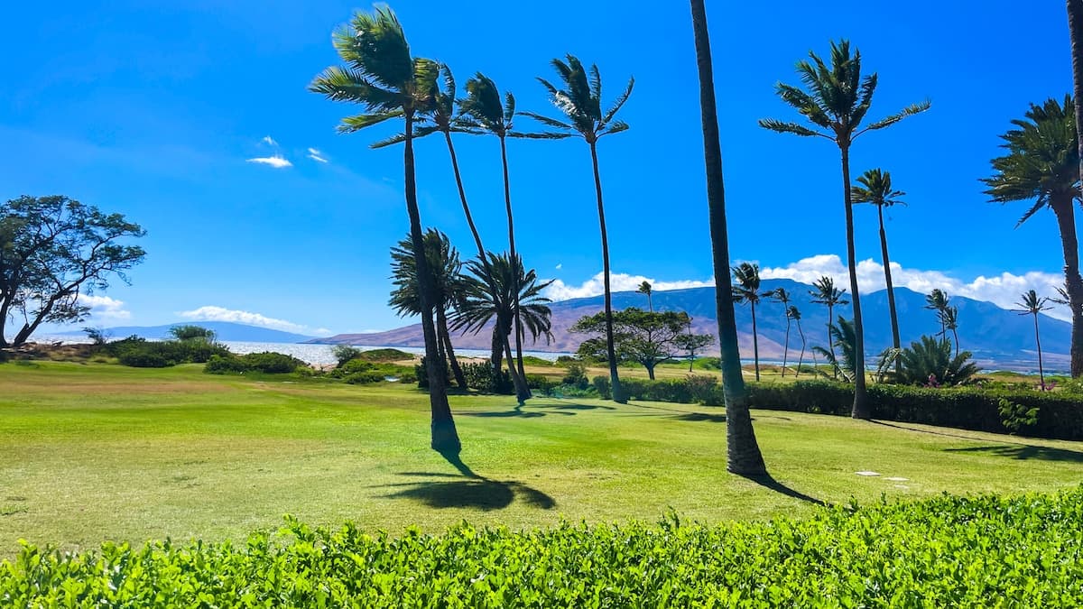 Home in Kihei · ★4.92 · Studio · 1 bed · 1 private bath - Photo 1