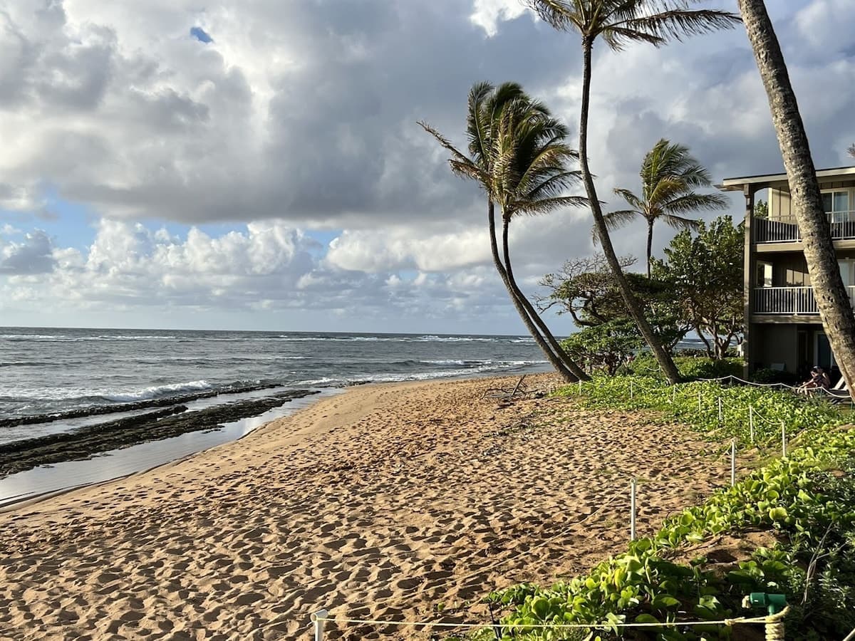 Condo in Kapaa · ★4.95 · 2 bedrooms · 3 beds · 1.5 baths - Photo 1